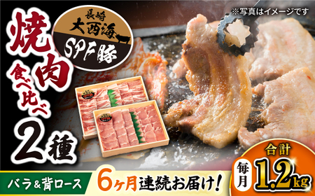 【6回 定期便 】 焼肉 豚 大西海 SPF豚 背ロース ＆ バラ （ 焼肉 用）計1.2kg（各600g） 焼肉 焼肉 肉 食品 肉類 国産 豚肉 食べ比べ こだわり セット 甘み 旨み 豚バラ バラ肉 豚ロース 贈答 ギフト SPF豚 訳あり ＜大西海ファーム＞ [CEK045]