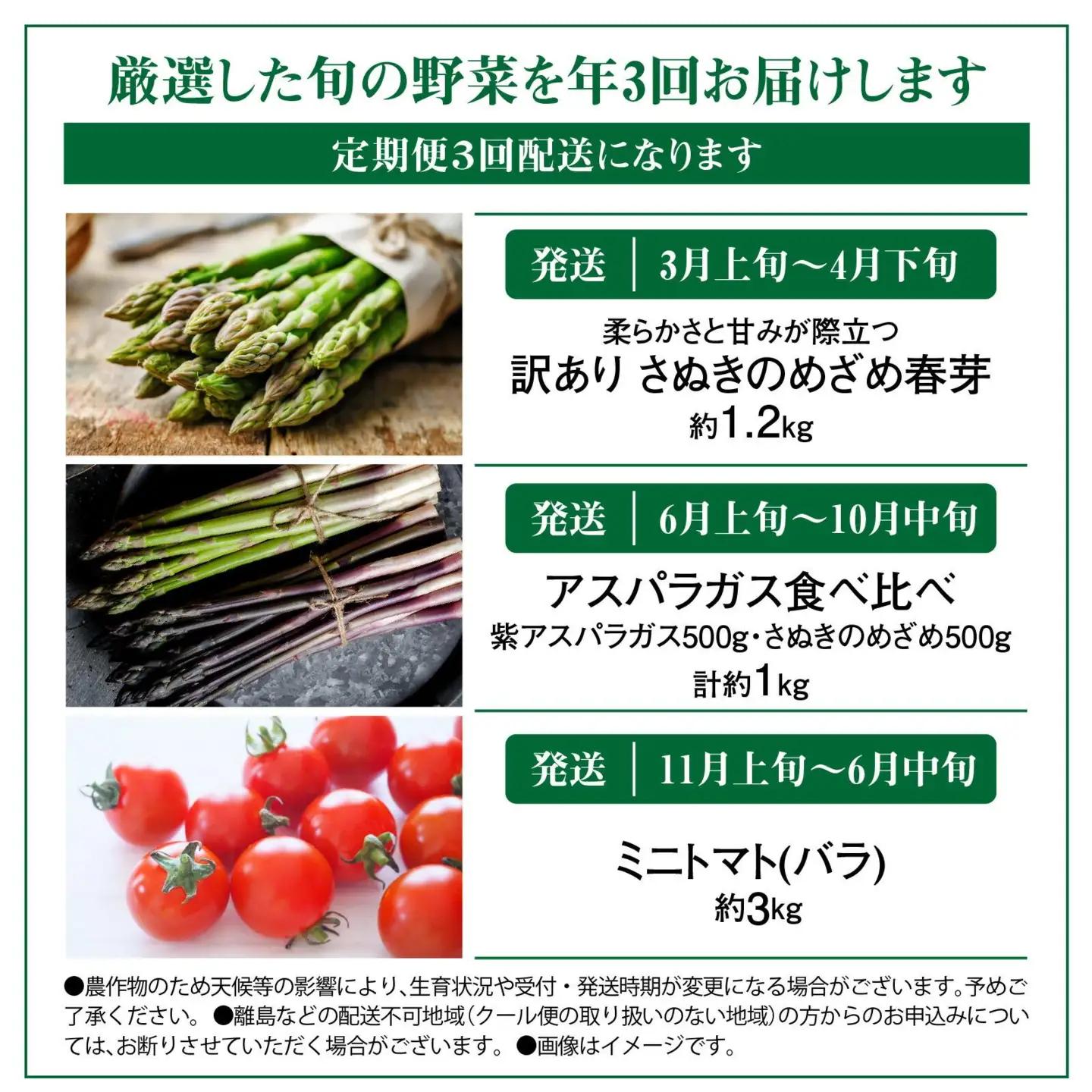 季節のやさい  厳選 高松市 3回 [旬な季節に合計3回発送]定期便D