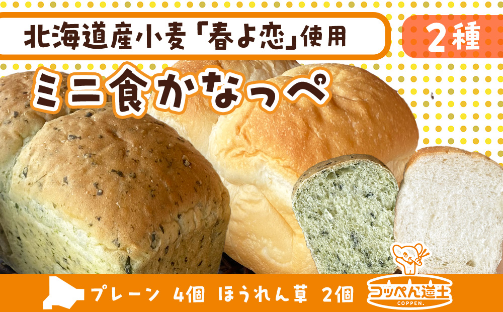 北海道 ミニ食かなっぺ 2種 セット プレーン 4個 ほうれん草 2個 北海道産 小麦 春よ恋 KD038
