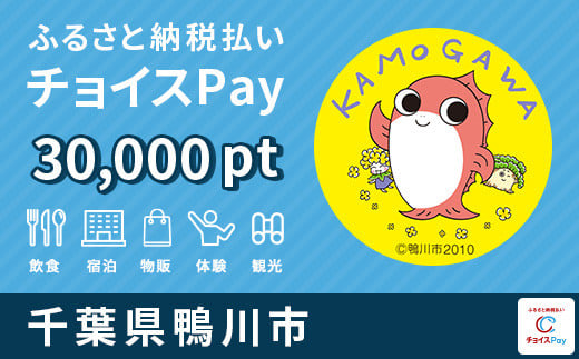 
鴨川市内の ご宿泊・お食事・体験施設で使える！鴨川市 チョイスPay 30,000ポイント（1pt＝1円）【会員限定のお礼の品】
