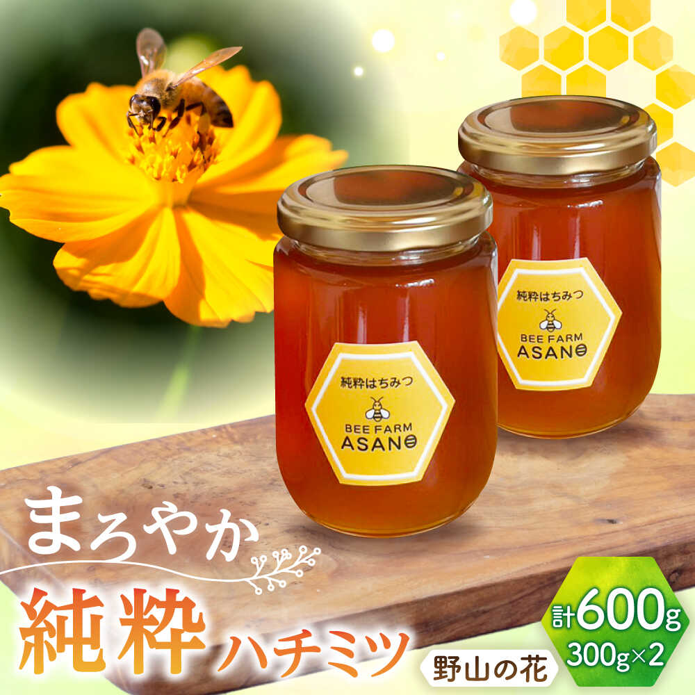 【ふるさと納税】純粋ハチミツ 野山の花 300g×2 瑞浪市 / honey shop Bee farm asano 蜂蜜 はちみつ[AZBT004]