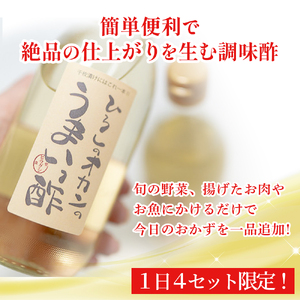 お肉、お魚、お野菜に！絶品甘酢「ひろしのオカンのうまいっ酢」／Lsh-A01