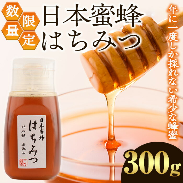 【ふるさと納税】数量限定！日本蜜蜂 はちみつ(300g) 国産 蜂蜜 ハチミツ 日本ミツバチ 非加熱 ハニー ボトル【三九】akn006-17