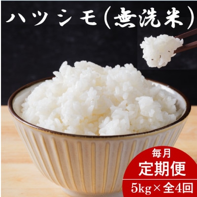 【毎月定期便】岐阜県産ハツシモ(無洗米) 5kg全4回【配送不可地域：離島】【4076368】