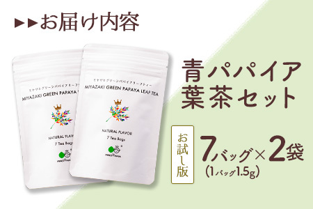 ［お試し］グリーンパパイアティー 葉茶セット（ティーバッグタイプ）ポスト投函【P2】