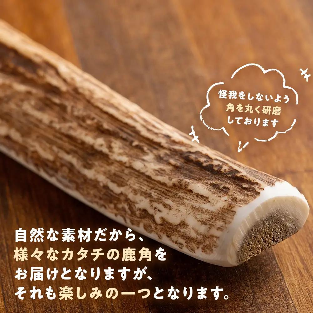 プレシカ 鹿の角 LLサイズ （15センチ半割り１本） | 犬 ペット用 愛犬用 おもちゃ 玩具 鹿角 エゾシカ 歯みがき ガム デンタルケア ストレス発散 天然 無添加 北海道 津別町 送料無料 