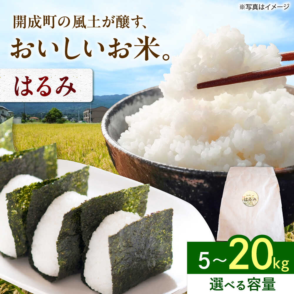 【ふるさと納税】【選べる容量!!】 【令和7年産】 はるみ 5kg 10kg 20kg 【Junkan農園】 米 お米 こめ 小分け 人気 コメ ブランド米 開成町 家庭用 送料無料 神奈川 かながわ 神奈川県 開成 開成町 人気 ごはん 米 おこめ お米 白米 こめ ライス rice kome ごはん [BDBF002]