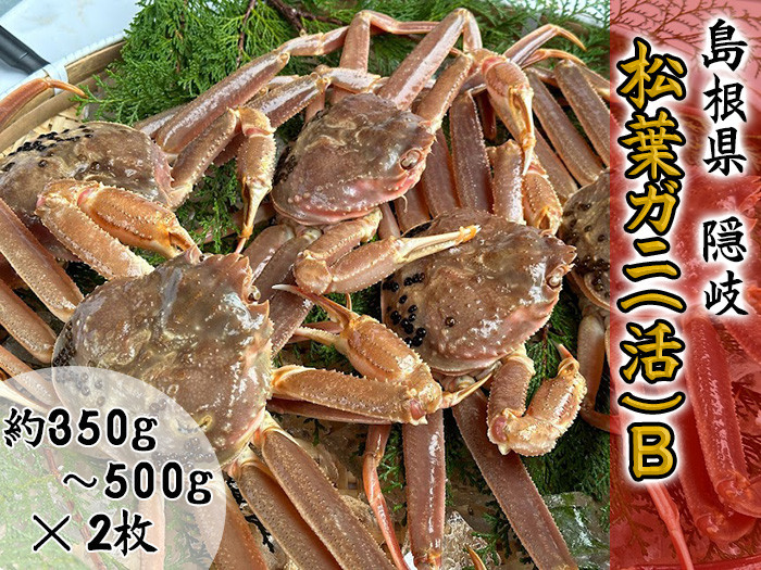 
            2701　【木村鮮魚店提供】　隠岐松葉ガニ(活)B　
          