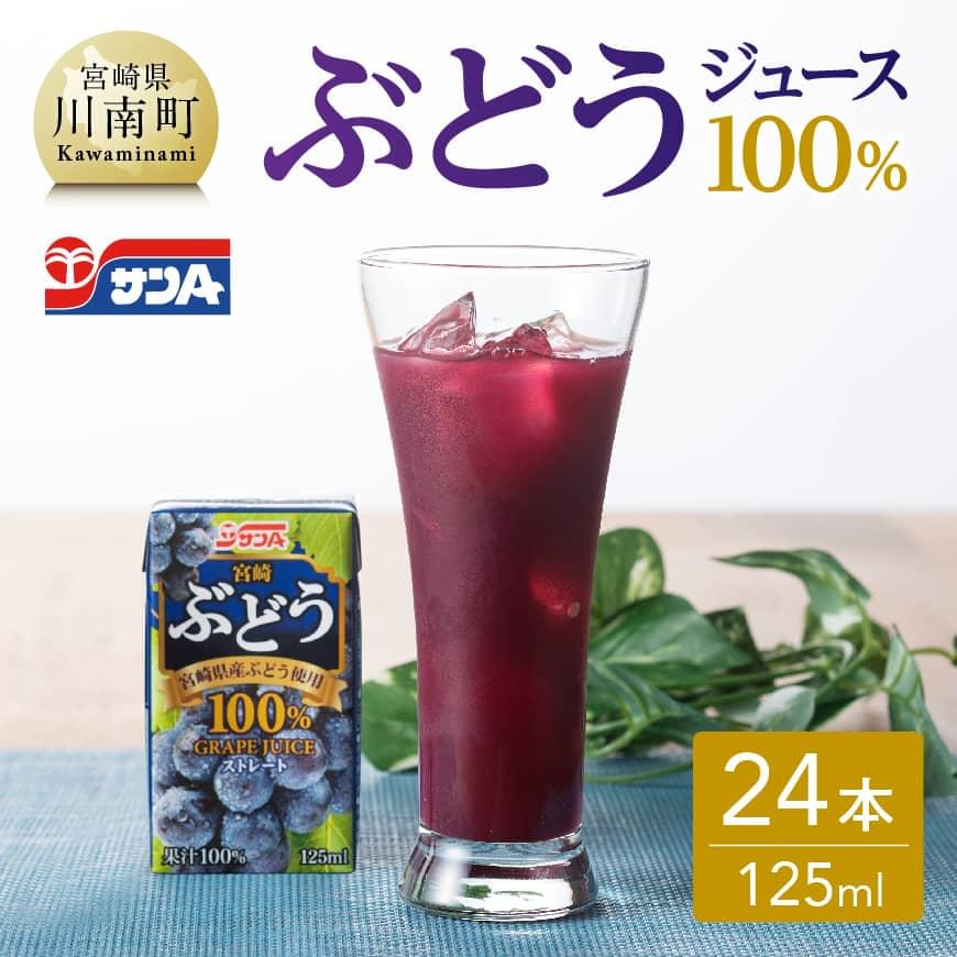 サンAぶどうジュース100％紙パック(125ml×24本)　飲料類 ぶどう 葡萄 ジュース 飲み物[E3004]