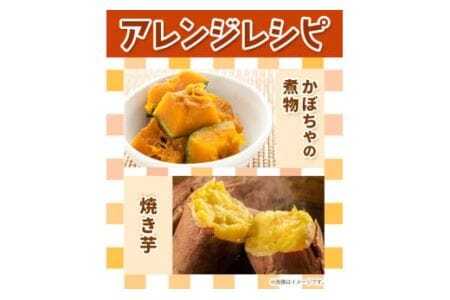 ＜ 先行予約 ＞ 旬の新鮮な 野菜便 10月秋便 8～10品 野菜