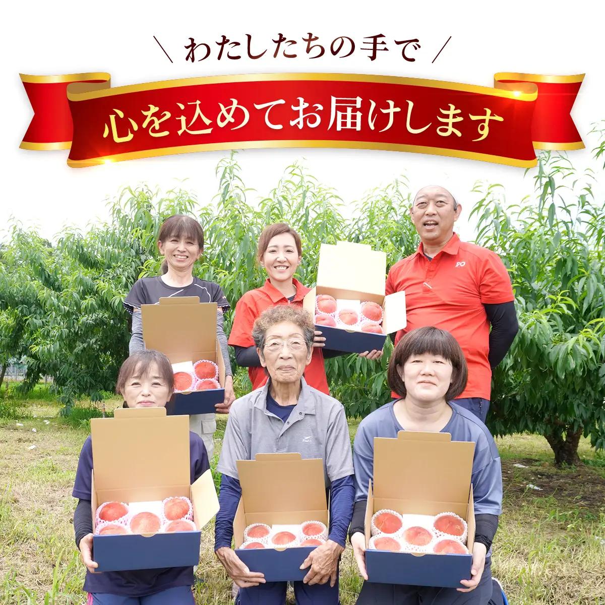 【2026年発送★先行予約】【★選べる容量・選べる配送方法】【クール便】山梨県 笛吹市産 朝獲り 新鮮 桃 2kg （4～8玉）126-001-26y-b