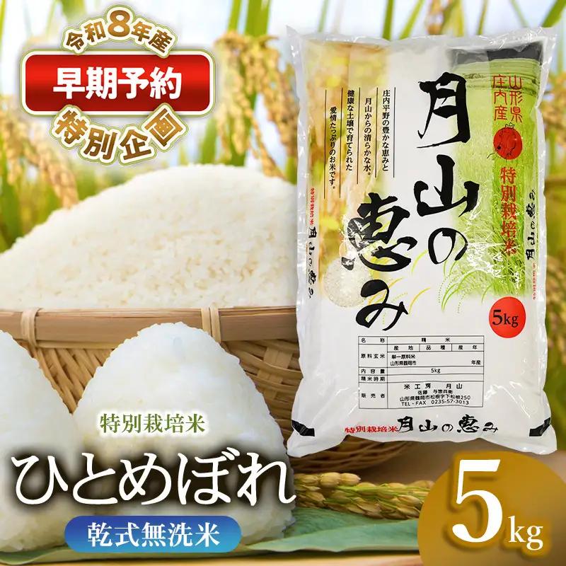 特別栽培米 ひとめぼれ 無洗米 5kg 【令和8年産新米早期予約特別企画】