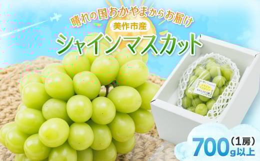 
岡山県美作市産　シャインマスカット　1房(700g以上)【1142181】
