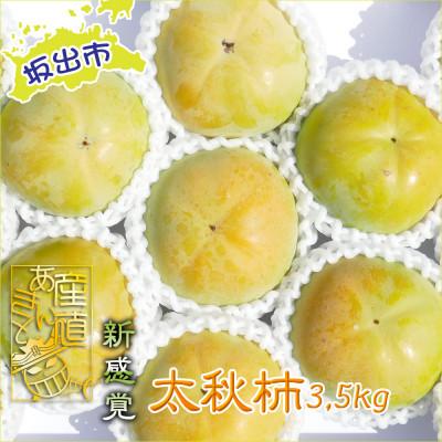 ふるさと納税 坂出市 新感覚の触感と甘さ!太秋柿　約3,5kg |  | 01