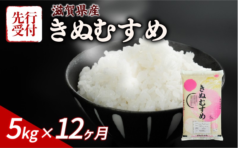 
                  【令和8年産】 先行予約 新米 きぬむすめ 5kg 12回定期便 令和8年産 定期便 米 精米 こめ コメ お米 ご飯 米 キヌムスメ 米定期便 12か月定期便 12ヶ月定期便 12回 12ヶ月 12か月 1年 1年定期便 滋賀 彦根
                
