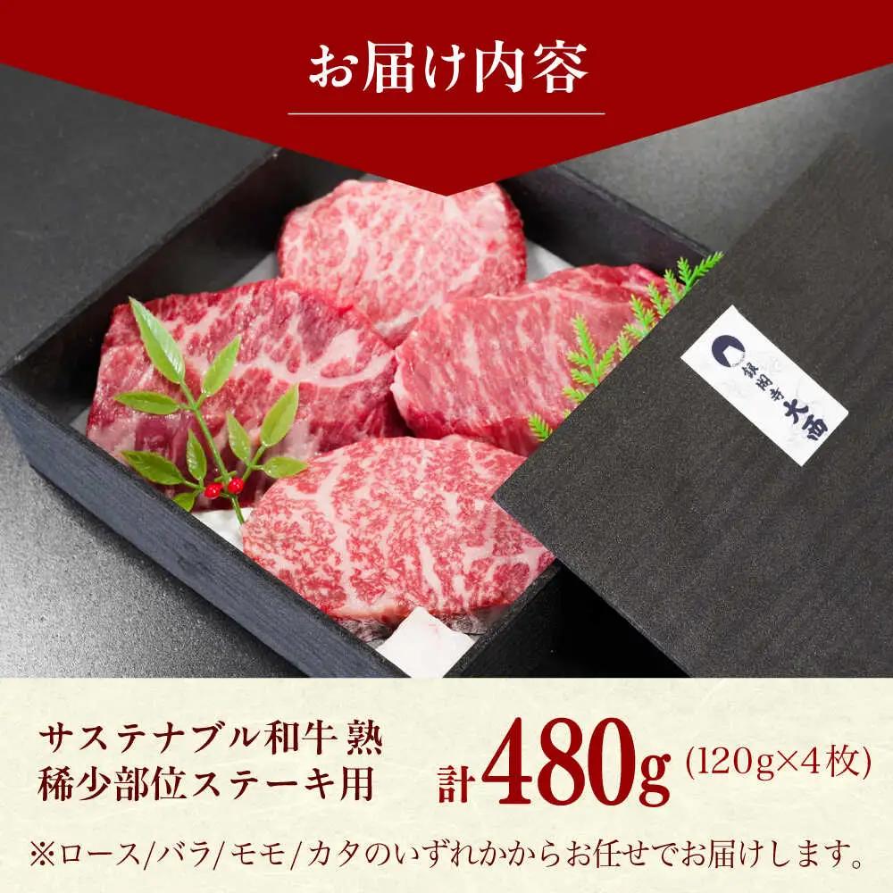 稀少部位ステーキ肉480g(120g×4枚 )和牛[AIAT012]ステーキ肉