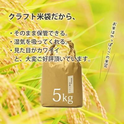 ふるさと納税 大川市 令和7年産 福岡県産「元気つくし」5kg×1袋 [5kg] [玄米](大川市) |  | 03