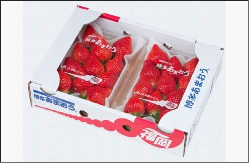 ＜2027年1月～2月発送＞博多あまおう 約250g×6