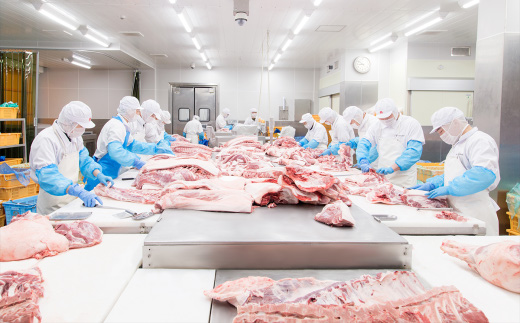 国産豚肉こま切れ ドドーンと4kg （ 500g × 8パック / 小分け 真空包装 ）【 下妻工場直送 】【 豚肉 こま切れ パック 小分け 便利 国産 料理 ポーク ぶたにく 国産豚 マルリン 】