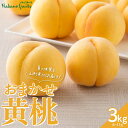 【ふるさと納税】【仲野観光果樹園】≪2025年先行予約≫贈答用 山形県産 おまかせ 黄桃 3kg(6～11玉) 秀品 2025年8月上旬から順次発送 F2Y-6115