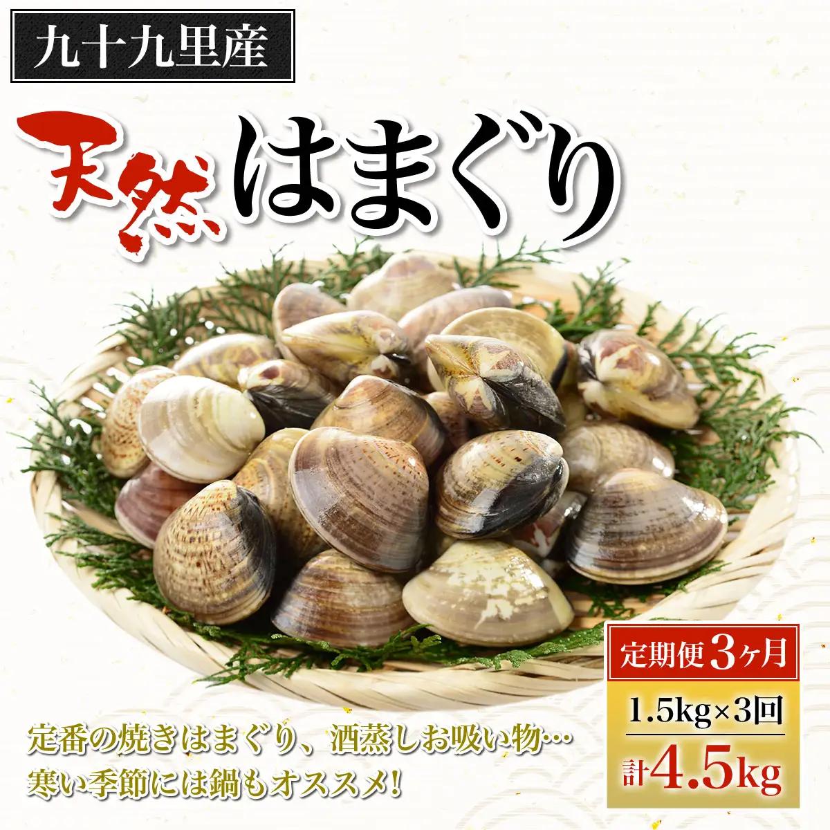 【定期便3ヶ月】九十九里産 大粒 天然はまぐり1.5kg×3回 計4.5kg ふるさと納税 はまぐり 蛤 天然 焼きはまぐり 網焼き 酒蒸し お吸い物 お祝い パエリア 和食 活はまぐり 千葉県 白子町 SHF009
