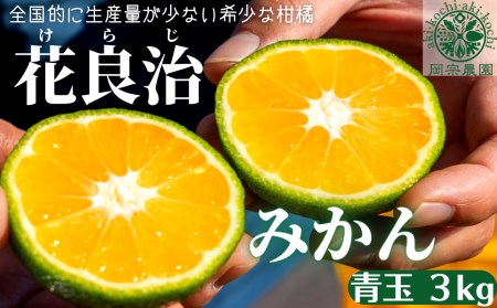 【先行予約】 花良治みかん 青玉 3kg みかん みかん みかん
