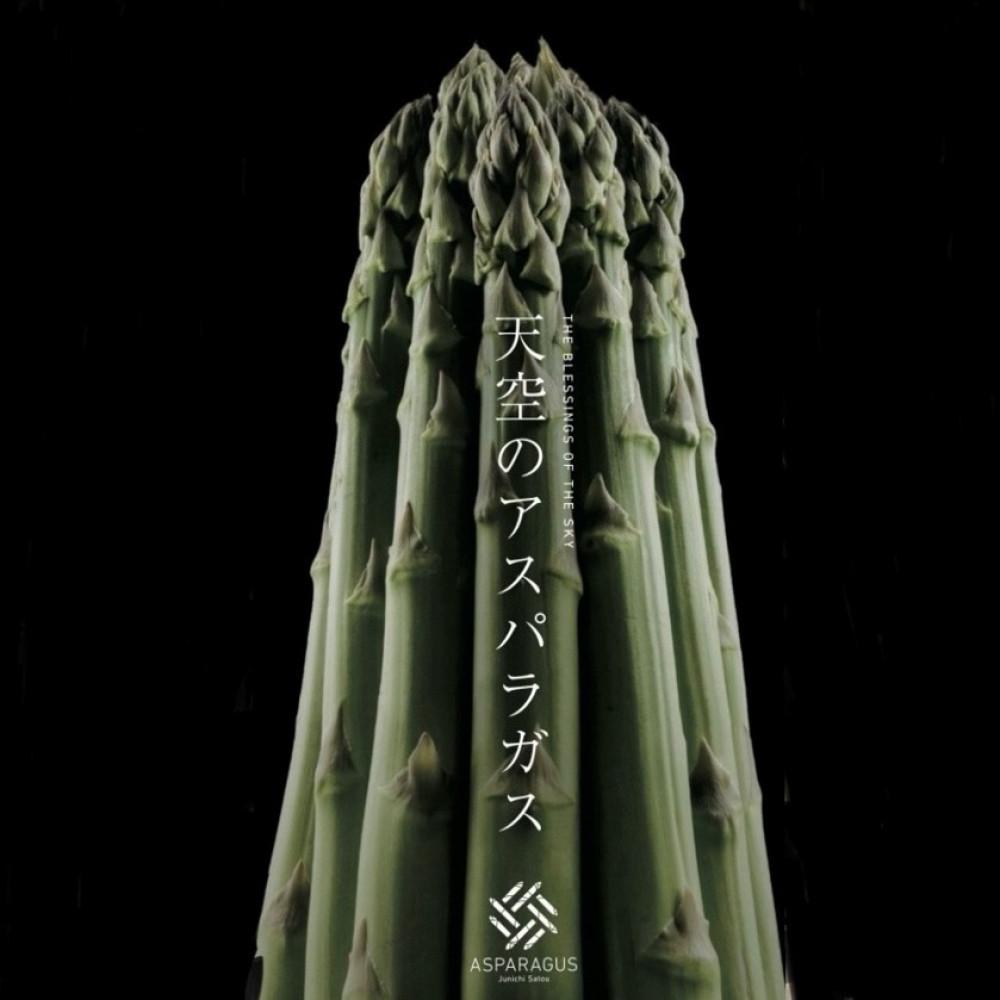 【ふるさと納税】【先行予約】 天空のアスパラガス 「Luxury」1kg 【2026年4～5月頃発送】 | 野菜 やさい 食品 人気 おすすめ 送料無料