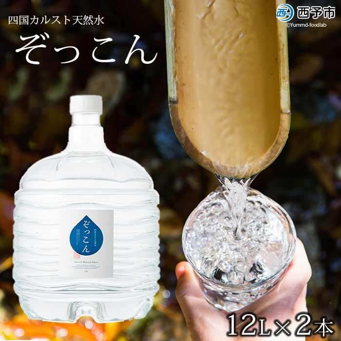 【ふるさと納税】＜四国カルスト天然水ぞっこん 12L×2本 計24L＞飲料 水 みず 中硬水 弱アルカリイオン水 ガロンボトル ウォーター バナジウム 備蓄 防災 キャンプ アウトドア 国産 特産品 ぞっこん四国 愛媛県 西予市【常温】『1か月以内に順次出荷予定』