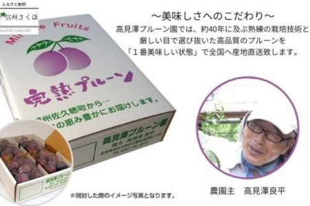 高見澤プルーン園にお任せ！摘みたてプルーン　約2kg×1箱　【限定30箱】〔TA-101〕