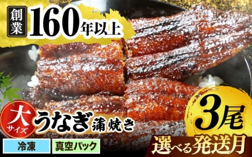 【うなぎや】【1月発送】 炭火焼 うなぎの蒲焼き 3尾 【紀州備長炭使用】 鰻 ウナギ 土用の丑の日 丑の日 蒲焼き 蒲焼 老舗 真空パック 特大 大 特上 送料無料 多治見市 [TFO003]