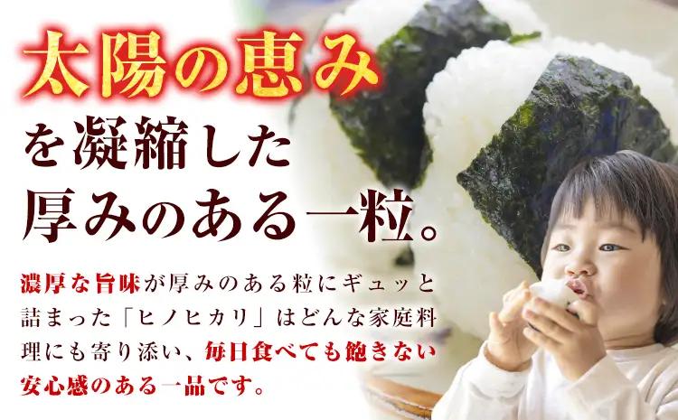 米 ヒノヒカリ 10kg JA徳島県脇町営農経済センター  米 こめ 