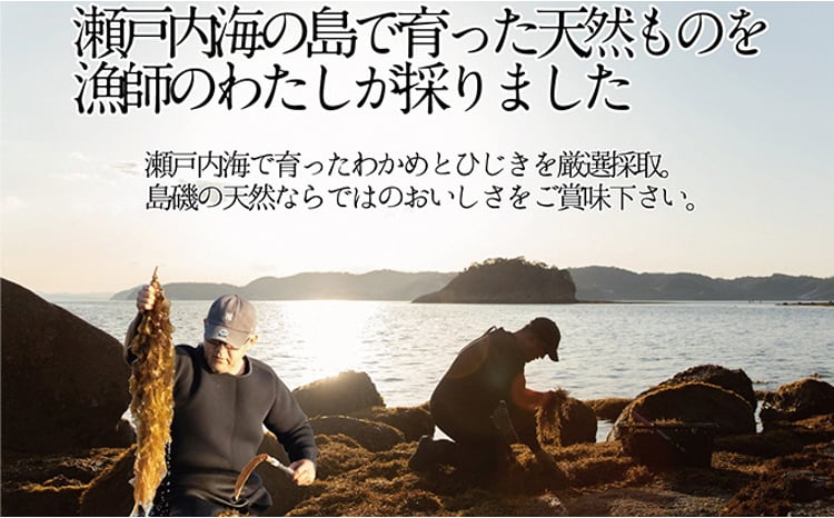 瀬戸内で採れた島磯香る わかめ 22g×6袋と ひじき 28g×6袋 セット【岡山 瀬戸内海 鉄釜炊 天然】