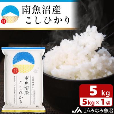 ふるさと納税 南魚沼市 【令和7年産】JAみなみ魚沼の一番人気「南魚沼産こしひかり」精米5kg 精米HACCP認定