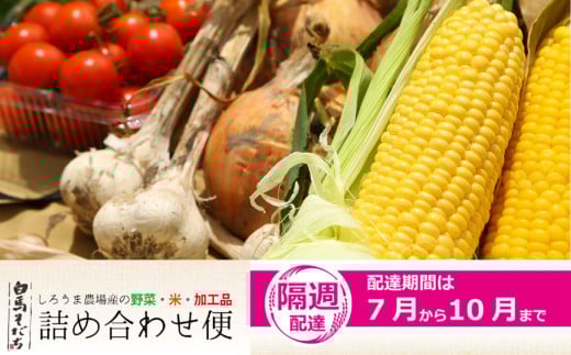 【期間限定】白馬そだち（旬の野菜・米・加工品）詰合せ便（全9回）2025年7月から10月までの隔週でお届け/長野県白馬村　旬の野菜　詰め合わせ　セット　直送【H0040197】