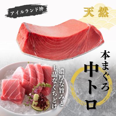 ふるさと納税 三浦市 【至極の味わい】天然本まぐろ 1kg(大トロ200g,中トロ400g, 赤身400g) |  | 02