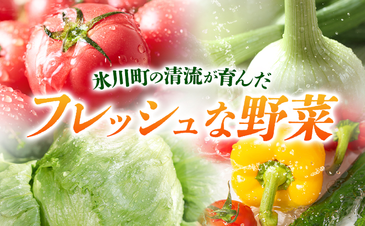 旬の野菜・果物詰め合わせセット 10-15品 氷川町産 道の駅竜北《30日以内に出荷予定(土日祝除く)》熊本県 氷川町 旬 フルーツ 果物 くだもの 野菜 やさい 新鮮---hkw_mer_10_10