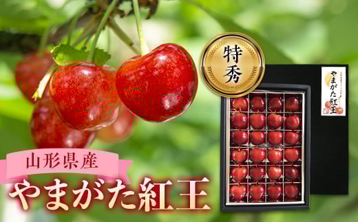 《2025年産先行受付》山形県産さくらんぼ【山形紅王 特秀品】 FSY-0020