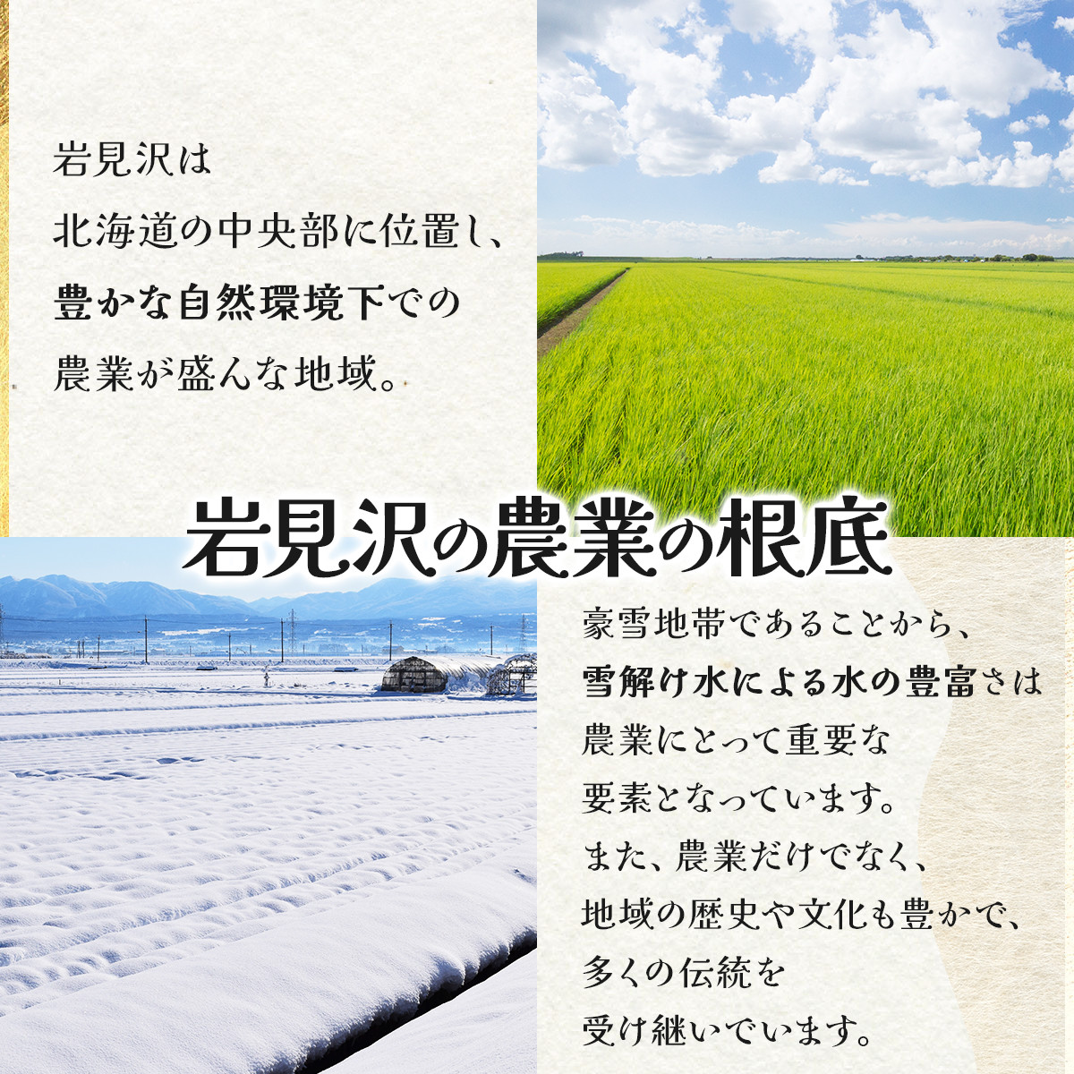 【お届け回数が選べる】『100%自家生産精米』善生さんの自慢の米 おぼろづき5kg　定期便　3/6/12ヶ月（全3/6/12回)