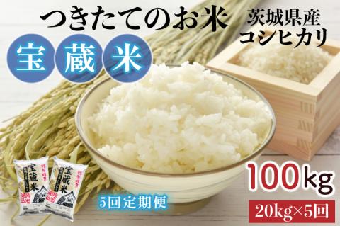 【5ヶ月定期便】【令和7年産】茨城県産コシヒカリ 宝蔵米 20kg×5回【お米 米 菊池 こしひかり つきたてのお米 食味ランキング特A評価 茨城県 水戸市】（CZ-716）