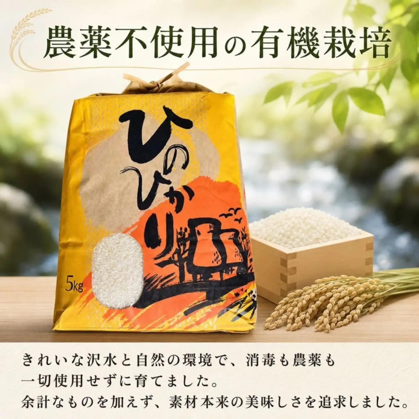 ひのひかり 白米 5kg 2025年産［1121-4］