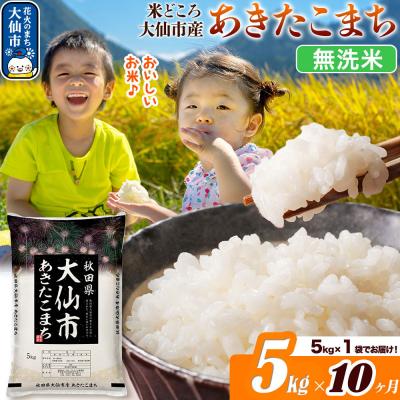 ふるさと納税 大仙市 米《10ヶ月》あきたこまち【無洗米】 あきたこまち5kg|22_ssn-030510_sf