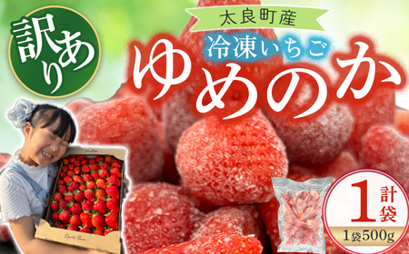 訳あり！太良町産「ゆめのか」冷凍いちご500ｇ×１袋 佐賀県 太良町 LB21x1