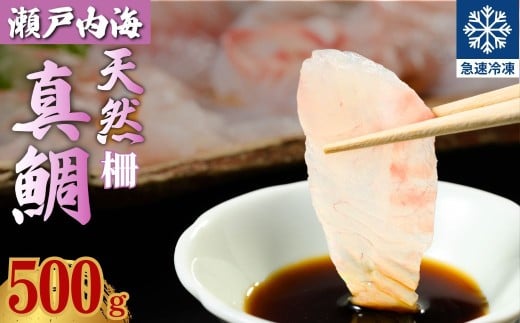 瀬戸内「天然」真鯛 お刺身用 500g 柵でお届け（急速冷凍）便利な小分け 100gパック 【鯛 マダイ タイ 鯛めし 鯛茶漬け ブロック 海鮮 魚介 即日加工 鮮度抜群 個包装 おせち 正月 正月料理】