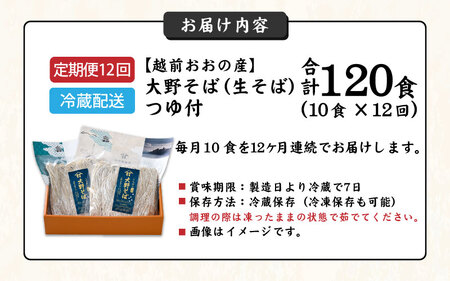 【12ヶ月定期便】生そば 10食 × 12回 計120食 つゆ付｜越前そば  大野  名水  石臼挽き