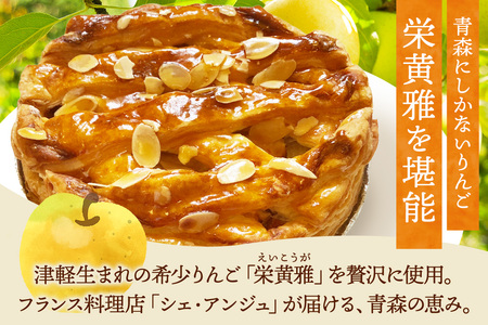 りんご 弘前アップルパイ 栄黄雅（えいこうが）1個