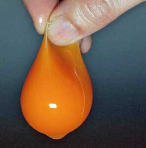 【12回定期便】きれいな水で育てた卵 赤たまご 青たまご（ アローカナ ）ミックス 各10個 計20個  | 保坂農場
