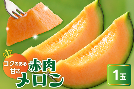 【先行予約】 令和8年産 赤肉メロン ( クインシー719 ) 1玉 2kg以上 2026年7月中旬～8月中旬頃お届け予定