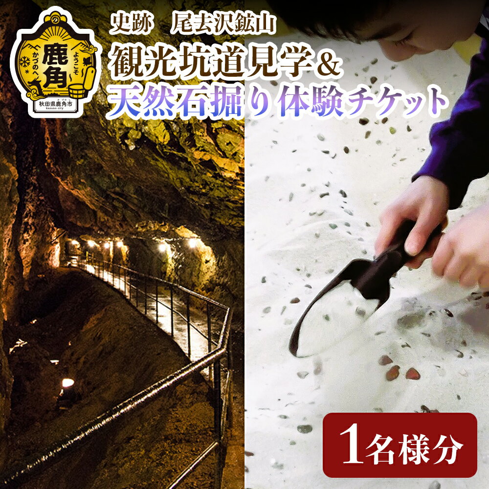 【ふるさと納税】史跡尾去沢鉱山 観光坑道見学 ＋ 天然石掘り体験チケット 1名様分 秋田県鹿角市 尾去沢 鉱山 史跡 観光 体験 天然石 チケット 坑道 見学 ギフト 故郷 秋田 あきた 鹿角市 鹿角 送料無料 【ゴールデン佐渡】