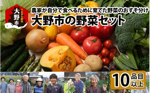 【先行予約】【8月発送分】【農家直送】「大野市の野菜セット」《農家が自分で食べるために育てた野菜のおすそ分け》