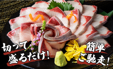 KU281-2512 ＜2025年12月発送分＞活じめ！黒瀬ぶりの生鮮ブリロイン2節（1kg前後）
